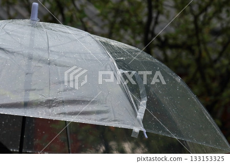 Umbrella, vinyl umbrella Umbrella, vinyl umbrella 133153325