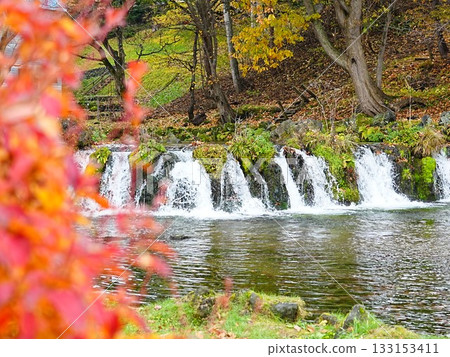 Superb view of Hokkaido Autumn Niseko Kyogoku Town Fukidashi Park 133153411