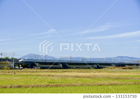 秋日里,東海道新幹線列車穿過稻田,稻穀已收割完畢,景色迷人。 秋日里,東海道新幹線列車穿過稻田,稻穀已收割完畢,景色迷人。 133153730