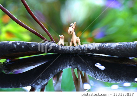 馬之戀：天堂的早晨 133153837