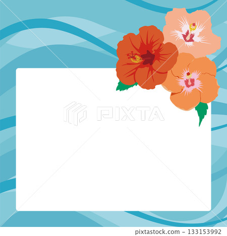 Hibiscus frame wave background Hibiscus frame wave background 133153992