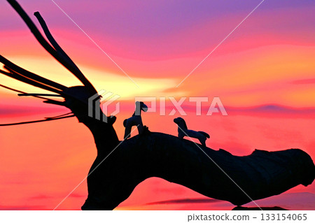 Horse Love Story: Morning in Paradise Horse Love Story: Morning in Paradise 133154065