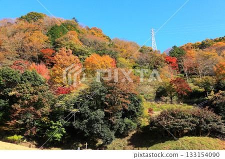 美穗水壩周圍綠樹成蔭,景色宜人。 美穗水壩周圍綠樹成蔭,景色宜人。 133154090