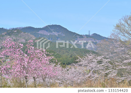 View from Toyama Senbonzakura, Spring in the Mountain Village, Higashichichibu Village 133154420