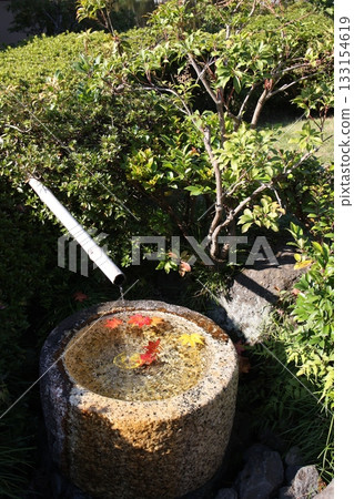 秋天的樹葉 133154619