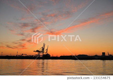 晨曦中,一隻鶴閃閃發光 晨曦中,一隻鶴閃閃發光 133154675