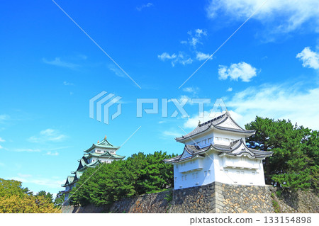 愛知縣名古屋市名古屋城的秋景 133154898