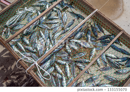 在陽光下曬乾的小魚 133155070