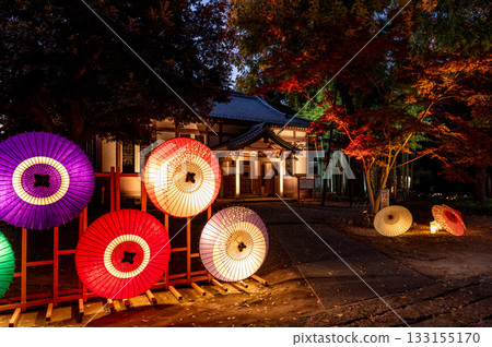 Ashikaga Light Story 2025 Ashikaga School 133155170