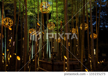 Ashikaga Light Story 133155273
