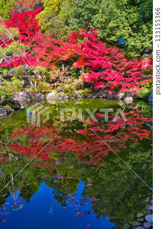 越前陶藝村的秋天 133155366