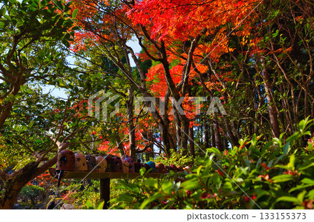 Autumn at Echizen Pottery Village 133155373