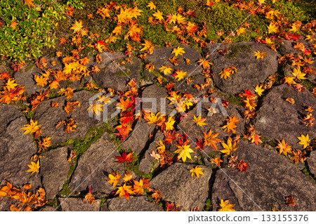 Autumn at Echizen Pottery Village 133155376
