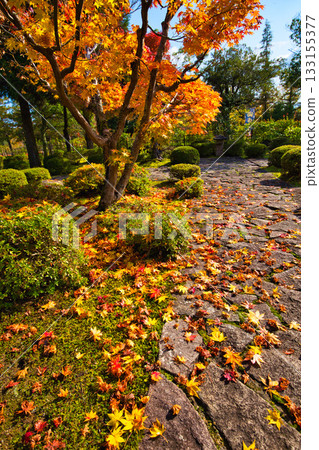 Autumn at Echizen Pottery Village Autumn at Echizen Pottery Village 133155377