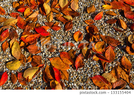 越前陶藝村的秋天 越前陶藝村的秋天 133155404