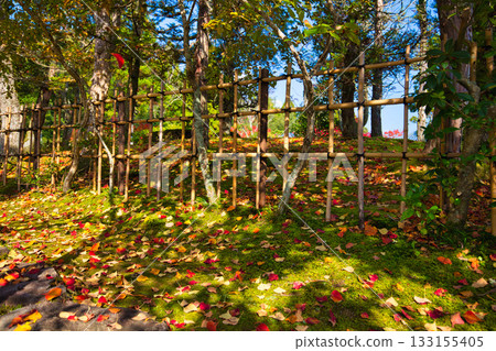 越前陶藝村的秋天 133155405