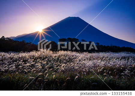 從朝霧高原眺望潘帕斯草原、日出和富士山 從朝霧高原眺望潘帕斯草原、日出和富士山 133155438