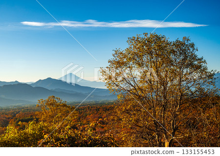 Autumn leaves and Mt. Fuji seen from Utsukushinomori Autumn leaves and Mt. Fuji seen from Utsukushinomori 133155453