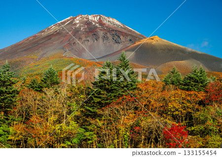 Autumn leaves and Mt. Fuji from Mizugatsuka Park Autumn leaves and Mt. Fuji from Mizugatsuka Park 133155454