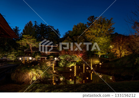 Ashikaga Light Story Ashikaga Light Story 133156212