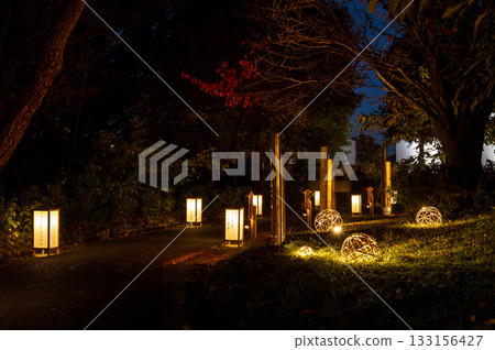 夜幕降臨，竹燈籠和吊燈點亮了一條步行小徑 / 一片靜謐中瀰漫著日式奇幻的燈光。 133156427