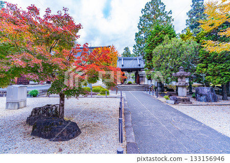 [Yamanashi Prefecture] Erinji Temple in Autumn 133156946
