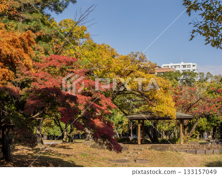 秋日公園景色,樹葉開始變色(東京都江東區清澄公園) 秋日公園景色,樹葉開始變色(東京都江東區清澄公園) 133157049