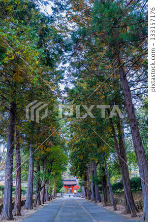 【山梨縣】惠林寺秋景:從正門通往四足門的路 【山梨縣】惠林寺秋景:從正門通往四足門的路 133157176
