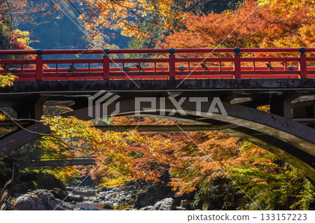 Autumn leaves along the Kiyotaki River in Kyoto 133157223