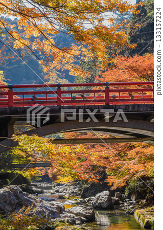 Autumn leaves along the Kiyotaki River in Kyoto Autumn leaves along the Kiyotaki River in Kyoto 133157224