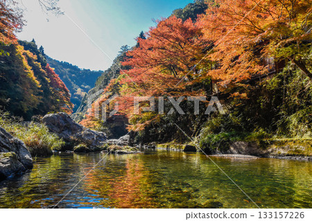 Autumn leaves along the Kiyotaki River in Kyoto 133157226