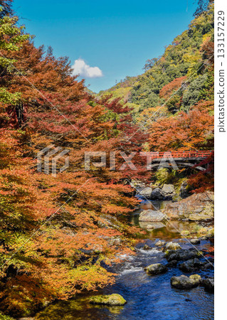 Autumn leaves along the Kiyotaki River in Kyoto 133157229