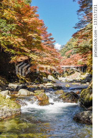 Autumn leaves along the Kiyotaki River in Kyoto 133157231
