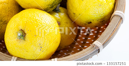 Harvested yuzu fruit in a monkey's 133157251