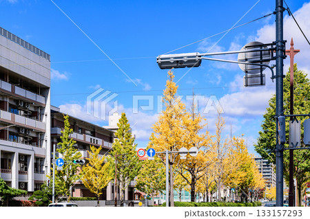 Sendai, Uesugiyama Street, Autumn 133157293