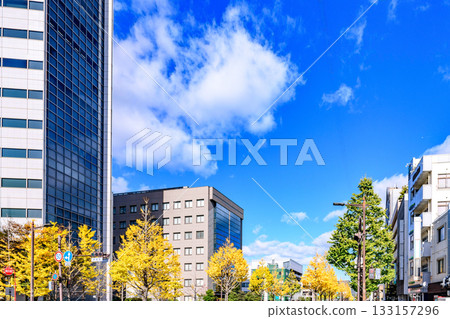 仙台,上杉山街,秋天 仙台,上杉山街,秋天 133157296