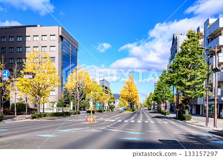 Sendai, Uesugiyama Street, Autumn 133157297