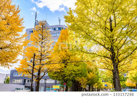 仙台,上杉山街,秋天 仙台,上杉山街,秋天 133157298