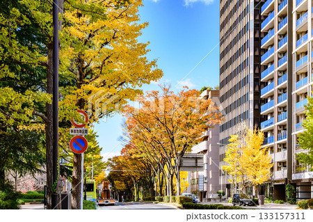 Sendai, Uesugiyama Street, Autumn Sendai, Uesugiyama Street, Autumn 133157311