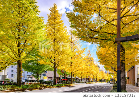 仙台，上杉山街，秋天 133157312