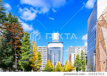 仙台，上杉山街，秋天 133157313