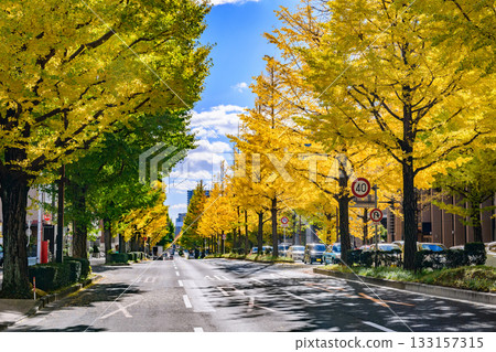 仙台，上杉山街，秋天 133157315