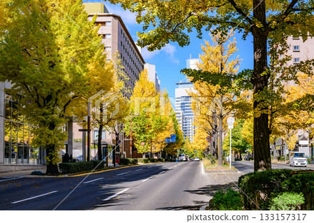 仙台，上杉山街，秋天 133157317