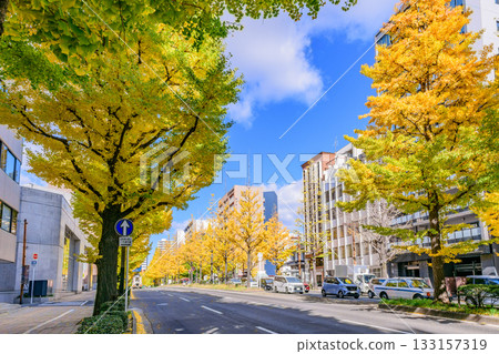 Sendai, Uesugiyama Street, Autumn 133157319