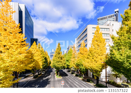 Sendai, Uesugiyama Street, Autumn Sendai, Uesugiyama Street, Autumn 133157322