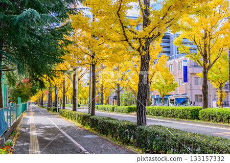 Sendai, Uesugiyama Street, Autumn Sendai, Uesugiyama Street, Autumn 133157332