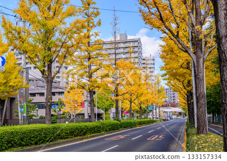 Sendai, Uesugiyama Street, Autumn Sendai, Uesugiyama Street, Autumn 133157334