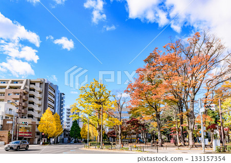 仙台，上杉山街，秋天 133157354