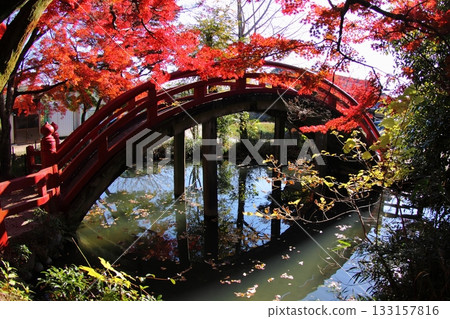 一座橋,紅色的欄桿在秋葉的襯托下格外醒目。 一座橋,紅色的欄桿在秋葉的襯托下格外醒目。 133157816