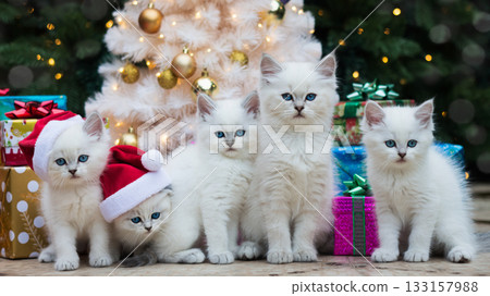 Christmas and kitten 133157988